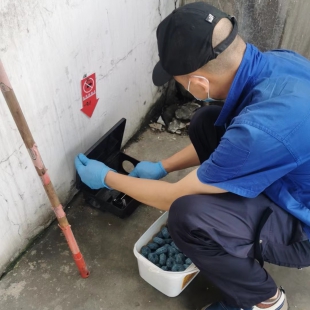 鼠类防制技术方案