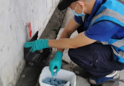 鼠类防制技术方案