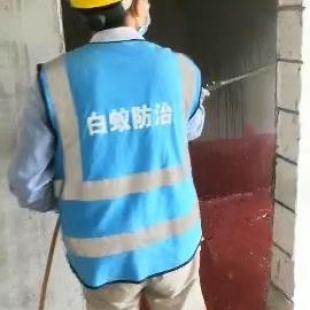 怎样消灭白蚁？