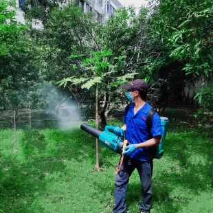 夏季驱蚊篇：教你“硬核”驱蚊方法